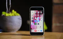 Nhờ iPhone SE 2020, Apple làm được điều "kỳ diệu" trong quý II