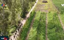 An Giang: Xử lý nghiêm hành vi đưa người trái phép qua biên giới