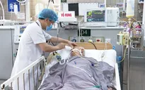 Thêm nhiều bệnh nhân vào viện vì pate Minh Chay, thuốc giải độc rất hiếm