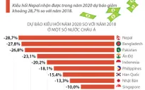 [INFOGRAPHIC] COVID-19 khiến lượng kiều hối chảy về châu Á giảm mạnh