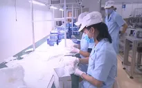 Doanh nghiệp chủ động nguồn khẩu trang cung ứng cho thị trường