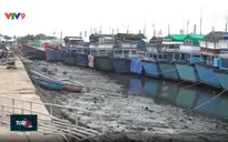 Khánh Hòa: Đầu tư cảng biển theo hướng chuyên biệt