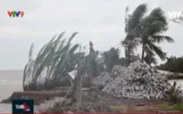 Đê biển Tây bị sạt lở nghiêm trọng