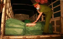 Phát hiện gần 3 tấn chân gà đông lạnh không rõ nguồn gốc