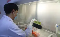 Viện Pasteur Nha Trang tiếp nhận xét nghiệm COVID-19 trở lại