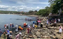 Khách hủy tour do dịch COVID-19, hàng ngàn công ty du lịch “điêu đứng”
