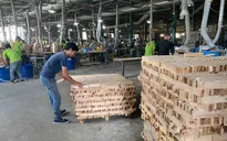 Vượt "bão" COVID-19, nhiều doanh nghiệp vẫn tăng trưởng tốt