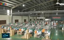 Doanh nghiệp chủ động sản xuất an toàn mùa dịch Covid-19