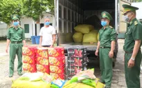 Bắt giữ, tiêu hủy hơn 1 tấn trái cây, đồ chay đang phân hủy được nhập lậu vào Việt Nam