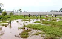 Ruộng bị ngập úng vì công trình lấp kênh thoát nước
