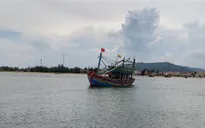 Tàu câu mực Quảng Ngãi bị tàu lạ đâm chìm, 1 người mất tích