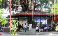 Thừa Thiên - Huế cho phép tập trung đông người trở lại