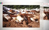 Nguy cơ ô nhiễm đất và nước ngầm từ hàng nghìn tấn rác thải nguy hại chôn trộm