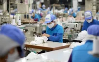 Đề xuất giảm 30% thuế thu nhập cho tất cả doanh nghiệp