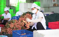 Tăng cường thương mại nông sản Việt Nam - Trung Quốc
