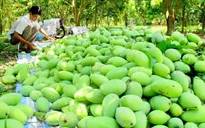 Kẽ hở nào khiến nông sản Việt bị mạo danh?