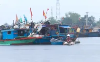 Cà Mau nỗ lực ngăn chặn tàu cá đánh bắt trái phép