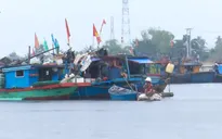 Ngư dân sẵn sàng ứng phó với bão số 1