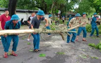 Thiệt hại do bão số 5: 2 người chết, 1 người mất tích, hơn 1.500 nhà tốc mái
