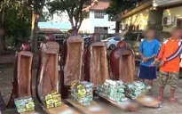 Thủ đoạn buôn bán ma túy ngày càng tinh vi: Giấu trong tượng rỗng, có gắn định vị