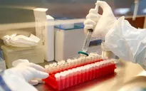 Mỹ không tham gia liên minh vaccine COVID-19 toàn cầu