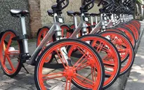 Nhiều nước châu Âu mở rộng phần đường cho người đi xe đạp