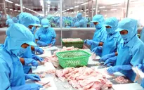 Xuất khẩu thủy sản vào EU: Cần giải “bài toán” tiêu chuẩn