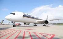 Các hãng hàng không “bay không điểm đến” để sống sót qua đại dịch COVID-19