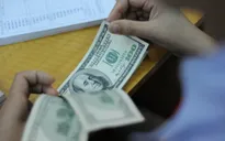 World Bank: Dự trữ ngoại hối tăng chứng tỏ khả năng phục hồi của nền kinh tế Việt Nam