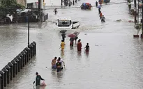 La Nina sẽ tạo ra điều gì trong năm 2020?
