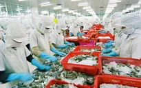 Thủy sản dự báo thất thu vì COVID-19