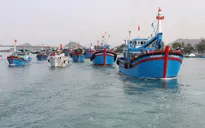 Gỡ “thẻ vàng” cho thủy sản Việt Nam - Vì sao vẫn khó?