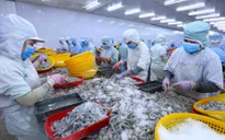 "EVFTA không chỉ là nơi xuất con tôm, bán cân gạo"