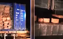 Điều tra xử lý vụ vận chuyển hơn 20m3 gỗ Pơmu trái phép