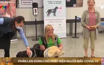 Phần Lan: Sân bay dùng chó đánh hơi phát hiện người mắc COVID-19