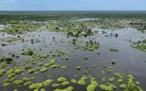 Lụt lội và bệnh dịch tàn phá Nam Sudan