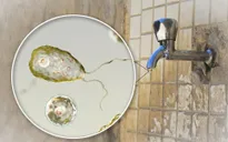 Mỹ cảnh báo nước máy tại các khu dân cư nhiễm vi khuẩn ăn não