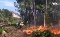 Nắng nóng kéo dài, TT-Huế liên tiếp xảy ra cháy rừng