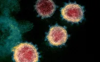 Virus SARS-CoV-2 có thể tiếp tục đột biến ngay cả khi có vaccine