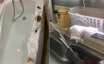 Khát nước sạch, hàng trăm hộ dân chung sống cùng “sinh vật lạ” giữa lòng Hà Nội