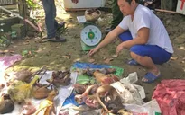 Phạt hơn 300 triệu đồng đối tượng nuôi nhốt, cấp đông nhiều động vật hoang dã