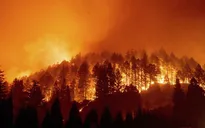 Cháy rừng tại California, 50.000 người phải sơ tán