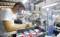 Fitch Solutions: Kinh tế Việt Nam đang trên đà phục hồi