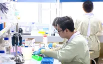 Sáng 30/10, Việt Nam không ca mắc mới COVID-19