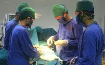 Cắt khối tá tụy - lựa chọn tối ưu điều trị triệt căn ung thư tụy