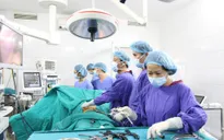 Nội soi lấy 9 viên sỏi trong ống mật chủ bệnh nhân
