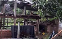 Lốc xoáy càn quét Quảng Ngãi, hàng chục ngôi nhà hư hỏng
