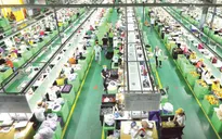 Thêm nhiều tín hiệu lạc quan, thị trường lao động dần “ấm” trở lại