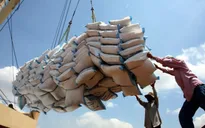 Cơ hội “vàng” cho hạt gạo Việt