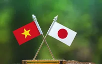 Chuyên gia JETRO: Chính phủ mới ở Nhật Bản sẽ không thay đổi chính sách đối ngoại với Việt Nam